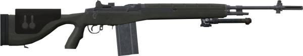 M14 DMR