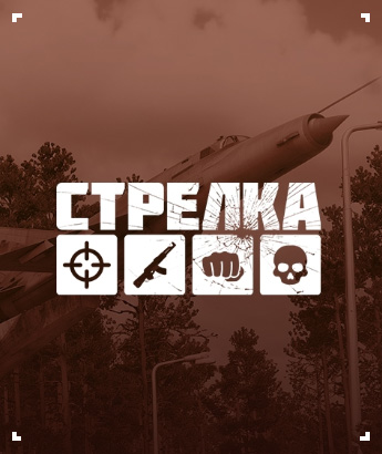 Стрелка DayZ